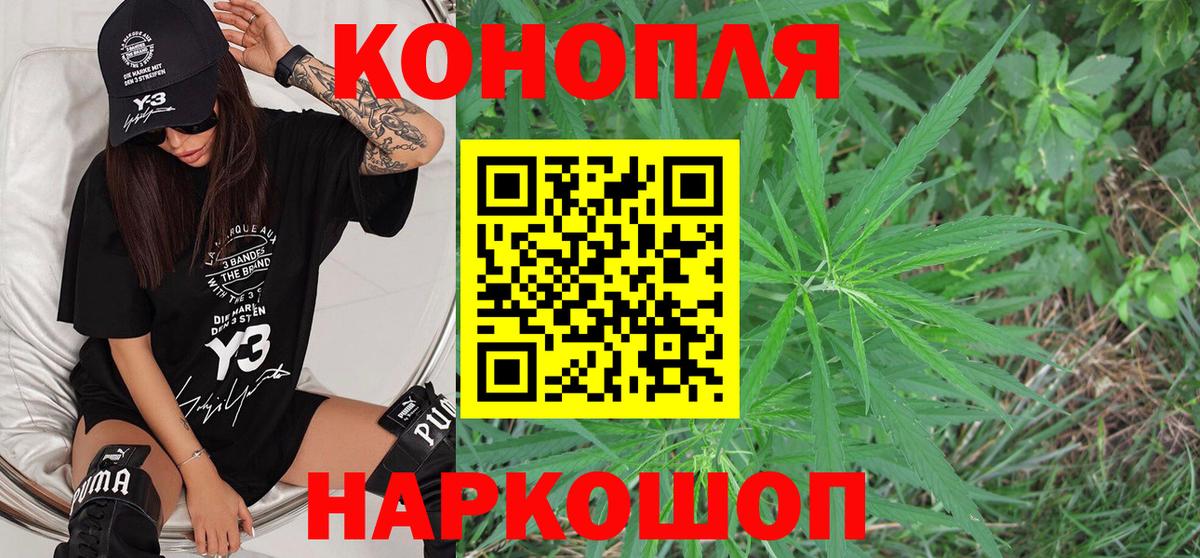 Каннабис планчик Балтийск
